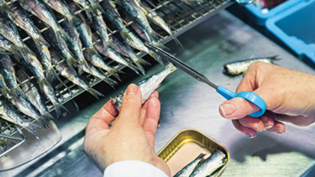 Design sans titre (29)